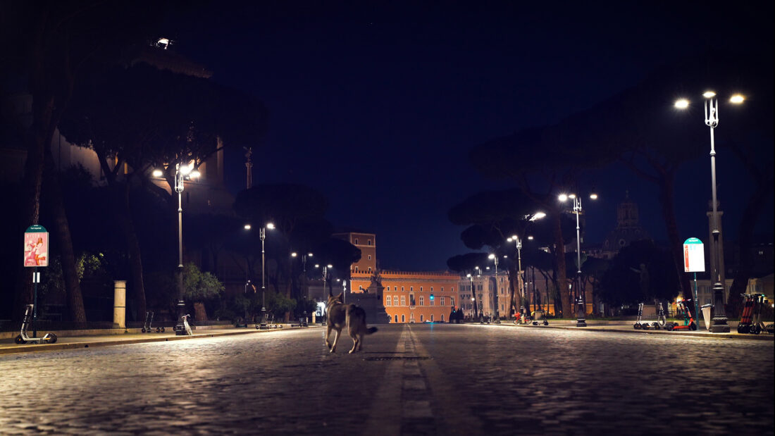 Noverca, filippo riniolo, still 100 x 70 cm, Stampa su dibond